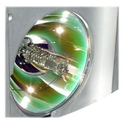 REPLACEMENT LAMP (EC.J5500.001)